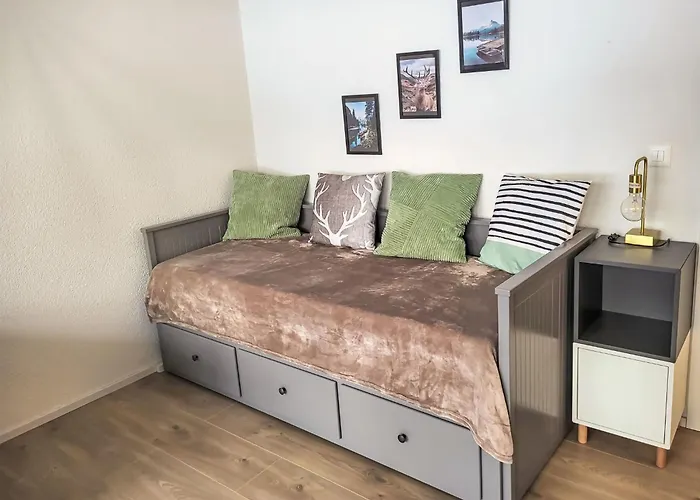 公寓 Ringstrasse 215 By Interhome *